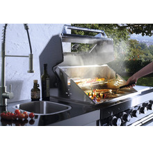 Barbecue à gaz en acier inoxydable avec évier, robinetterie et aliments grillés préparés