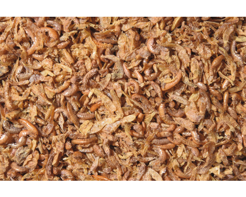 Getrocknete Garnelen als Fischfutter