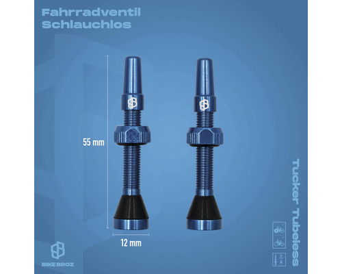 Zwei schlauchlose Fahrradventile, 55 Millimeter lang und 12 Millimeter breit