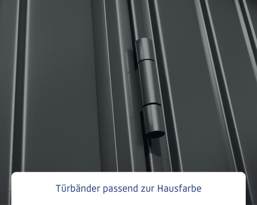 Nahaufnahme eines Türbands an einer Metalltür