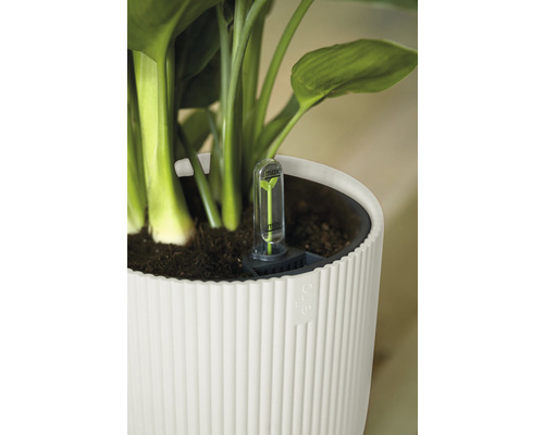 Nahaufnahme eines weißen Blumentopfs mit Wasserstandsanzeige und Pflanze