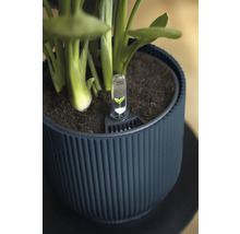 Pot de fleurs avec humidimètre pour l''entretien des plantes