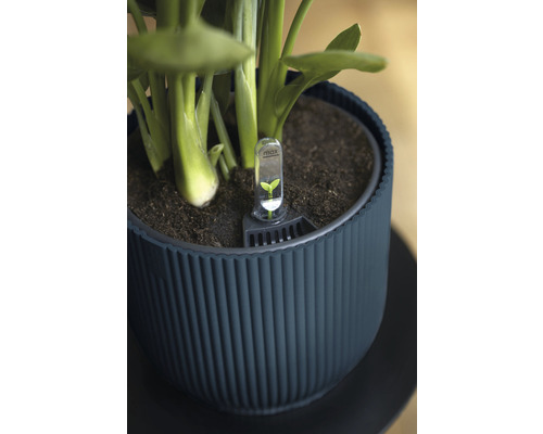 Blumentopf mit Feuchtigkeitsmesser zur Pflanzenpflege