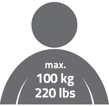 Symbol für maximale Gewichtsbelastung von 100 kg