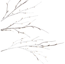 Branches décoratives avec effet de neige pour l''intérieur