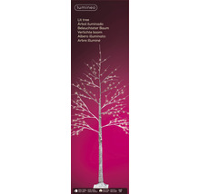 Arbre lumineux LED pour l''intérieur