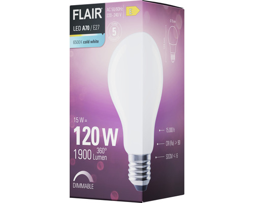 Ampoule LED Flair A70 E27, 15 watts, blanc froid