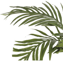 Palmier artificiel Palmier Areca hauteur 150 cm, vert