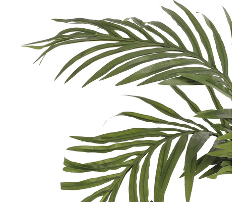 Feuille de palmier pour la décoration