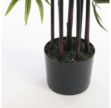 Bambou décoratif en pot pour l''intérieur