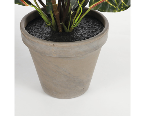 Blumentopf mit Pflanze