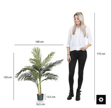 Dimensions d''un palmier d''arec artificiel en pot à côté d''une femme