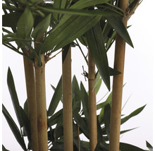Plante artificielle bambou hauteur 150 cm, vert-thumb-4