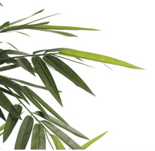Plante artificielle bambou hauteur 150 cm, vert-thumb-5