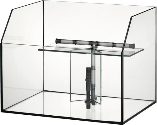 Glasaquarium mit Innenfilter und Aufbau