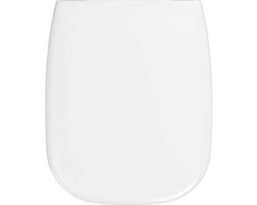 Toilettendeckel aus Kunststoff