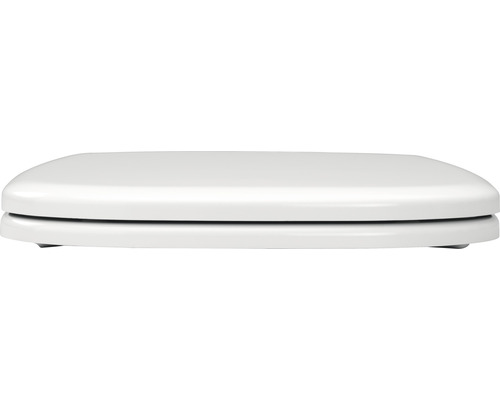 Toilettendeckel aus Kunststoff