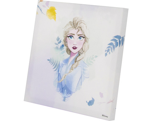 Tableau mural La Reine des neiges de Disney avec motif Elsa