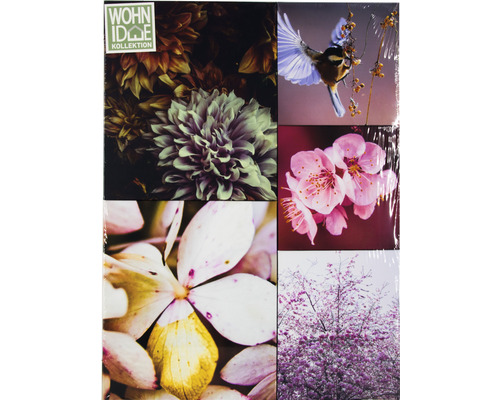 Wohnidee Kollektion Tapetenmuster mit Blumen- und Vogelmotiven