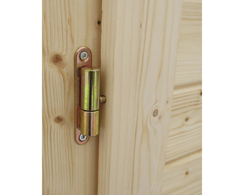 Vue détaillée d''une charnière sur une porte en bois