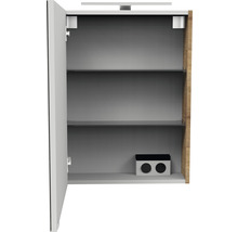 Spiegelschrank FACKELMANN SBC Small Bathroom Collection 500 x 16,2 x 680 mm ast-eiche 1-türig LED links