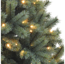 Vue détaillée d''un sapin de Noël illuminé avec des aiguilles vertes