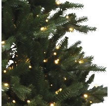 Detailansicht eines mit Lichtern geschmückten Weihnachtsbaums