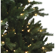 Detailaufnahme eines grünen Weihnachtsbaums mit Beleuchtung.