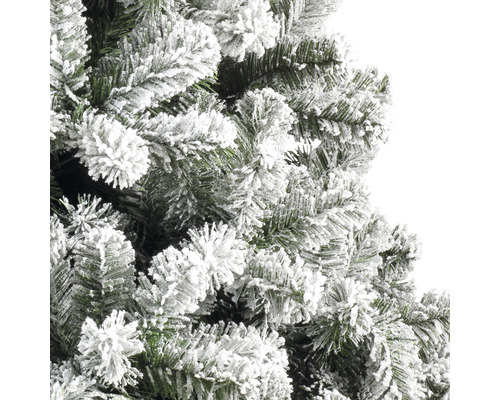 Nahaufnahme eines verschneiten Weihnachtsbaums.