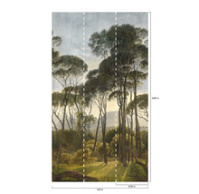 Papier peint photo avec motif de forêt et indications de taille