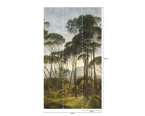 Papier peint photo avec motif de forêt et indications de taille