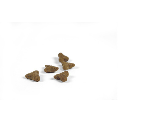 Aliments secs pour animaux en forme triangulaire