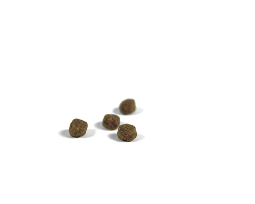 Quatre boules de nourriture pour chat