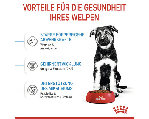 Welpe vor einer Schüssel mit Hundefutter mit Informationen zu gesundheitlichen Vorteilen