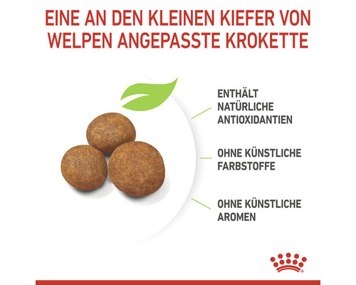 Hundefutter Kroketten für Welpen mit natürlichen Antioxidantien, ohne künstliche Farbstoffe und Aromen