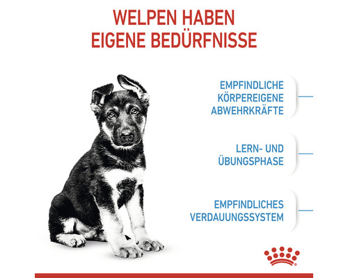 Welpe hat spezielle Bedürfnisse