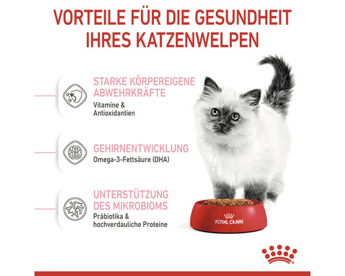 Illustration mit Katze und Futternapf zur Erläuterung der gesundheitlichen Vorteile von Katzenfutter für Katzenwelpen, wie beispielsweise Stärkung der Abwehrkräfte durch Vitamine und Antioxidantien.