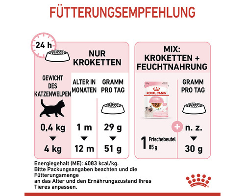 Fütterungsempfehlung für Katzenwelpen mit Mengenangaben