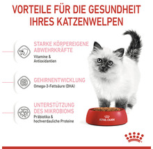 Katzenfutter trocken ROYAL CANIN Kitten Trockenfutter für Kätzchen 4 kg