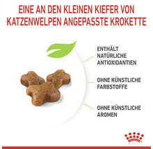 Katzenfutter trocken ROYAL CANIN Kitten Trockenfutter für Kätzchen 4 kg