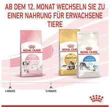 Katzenfutter trocken ROYAL CANIN Kitten Trockenfutter für Kätzchen 4 kg