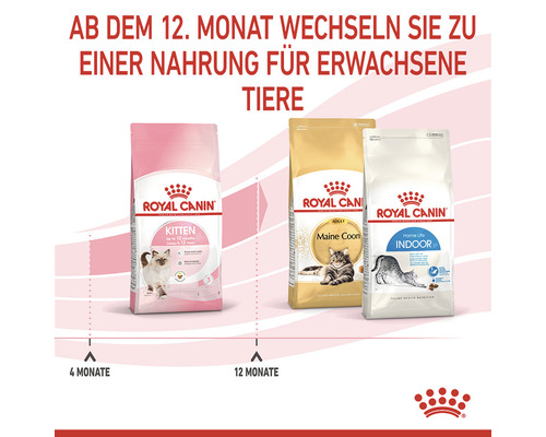 Drei Packungen Royal Canin Katzenfutter für Kitten, Maine Coon und Indoor Katzen.