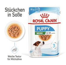 Royal Canin Puppy Mini Hundefutter im Frischebeutel