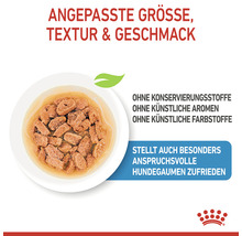 Hundefutter in einer Schale, ohne Konservierungsstoffe, ohne künstliche Aromen und ohne künstliche Farbstoffe.