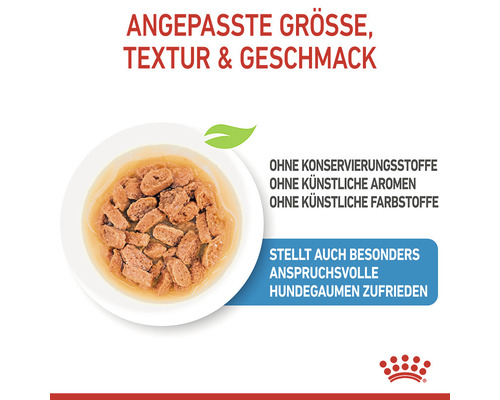 Hundefutter in einer Schale, ohne Konservierungsstoffe, ohne künstliche Aromen und ohne künstliche Farbstoffe.