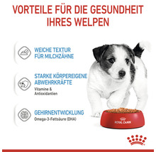 Welpe vor einer Schale Royal Canin Welpenfutter mit Hinweisen zu Vorteilen für die Gesundheit