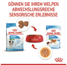 Royal Canin Puppy Mini Welpenfutter im Napf und in der Verpackung