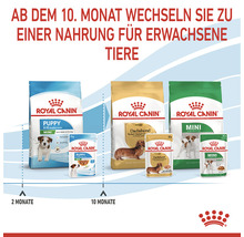 Royal Canin Hunde Trockenfutter für Welpen und ausgewachsene Tiere