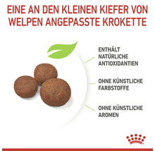 Hundefutter trocken ROYAL CANIN Medium Puppy Welpenfutter für mittelgroße Hunde 4 kg