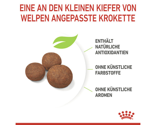 Trockenfutter für Welpen mit natürlichen Antioxidantien, ohne künstliche Farbstoffe und Aromen.
